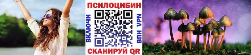 Галлюциногенные грибы мухоморы  даркнет сайт  kraken ССЫЛКА  Кимры 